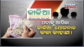 Govt Releases Ineligible Kalia Beneficiary List, 20000 Govt Employee Gets Kalia Fund