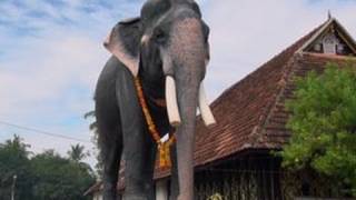 Kottarakkara Mahaganapathi Temple, Unniappam offering, Kerala