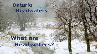 What are Headwaters - Ontario Headwaters Institute