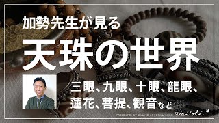 加勢先生が見る「天珠の世界」眼の形、香木の教え