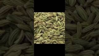 Commodity Prices 01.05.2023 Wankaner Market Yard Na Bhav | Kapas na bhav | #Short#Kapas#Bhav#