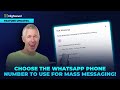 Choose the WhatsApp Phone Number to Use for Mass Messaging