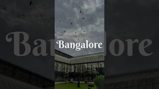 Bangalore ലെ കുറച്ചു പകൽ കാഴ്ച്ചകൾ 🍃😍♥️ഒന്നു കണ്ടാലോ?♥️ #shorts #shortfeed #youtubeshorts