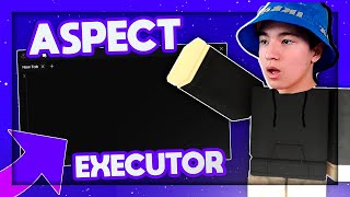 Roblox Free Exploit Download Roblox Script Executor Aspect Exploit ...