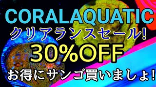 （サンゴ水槽）お得情報！CORAL AQUATIC　クリアランスセール！！