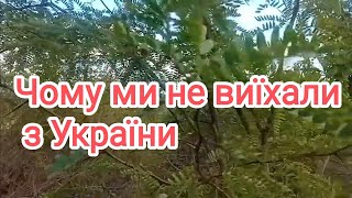 Як ми переїхали в село завели господарство 🌿 Сільське життя в Україні