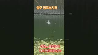 성주 명포낚시터 하우스낚시 1인낚시 찌가안좋아서 새로구매해야할것같네요