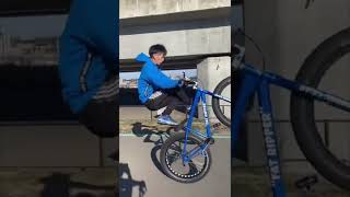 【SEBIKES】ウィリーコンボ