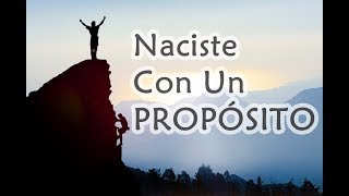 ✅ Naciste Con Un PROPÓSITO!! 👌