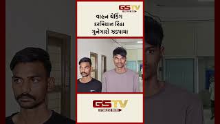 વાહન ચેકિંગ દરમિયાન રિઢા ગુનેગારો ઝડપાયા