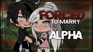 Forced To Marry The Alpha | Gacha Life Mini Movie | GLMM