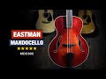 Eastman Mandocello MDC805 - Full Rundown