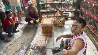 🔴SEMUA BURUNG KECIL DI OBRAL MULAI DARI 9RIBU MURAI TROTOL MULAI DARI 140RIBU BOSSS