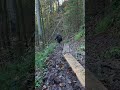 ein schöner tag im herbst naturfotografie sony_a6600 oberbayern