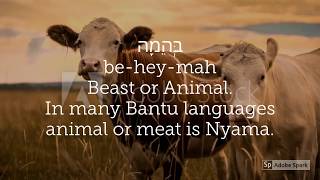 Ancient Hebrew and Bantu Languages similarities 3