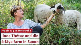 rro ein Tag im Unterwallis | Zu Besuch auf der ô fâya farm in Saxon