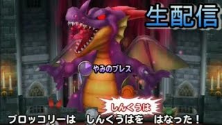 〔星ドラ〕星のドラゴンクエスト生配信