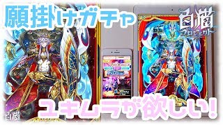 【白猫プロジェクト】KINGS CROWNガチャ ユキムラが欲しすぎる！今回もあの方法でガチャ！