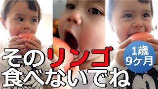 【１歳９か月】そのリンゴ食べたらあかん！Do Not Eat THAT apple!!｜禁断の果実