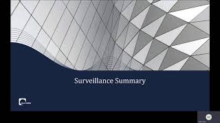 Schrems II Surveillance