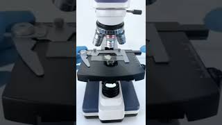 Microscope లో అరటి పండు #amazingfacts #shorts#youtubeshorts #Ganeshfactstelugu