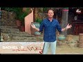 Chris Harrison Welcomes Us to Paradise - Bachelor In Paradise