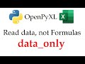 OpenPyXL data_only Parameter Explained - Values vs Formulas