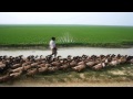 Bangla new song 'Barisal' by Dipu