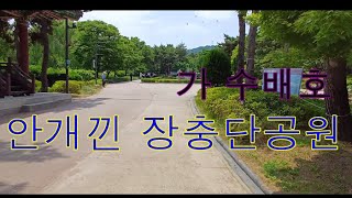 안개 낀 장충단 공원 가수 배호 노래(원곡)연속듣기 /영상 배경 장충단 공원