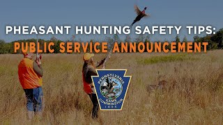 Pheasant Hunting Safety Tips: Public Service Announcement