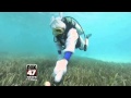 Underwater Easter Egg Hunt in Florida