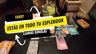 PREPARATE😍DF ESTAS EN TODO LO ALTO‼️ERES COMO UN IMAN PARA TU DM 🔮TAROT LLAMAS GEMELAS