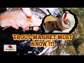 Trout Magnet !!! [ MUST KNOW - Technique & WARNING ] !!!