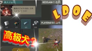 【地球最後の日サバイバル】高級犬!?　Raid；REDSAM,Player6818