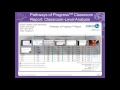 Pathways of Progress - Module 10