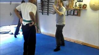 Bujinkan Butoku Dojo training # 91
