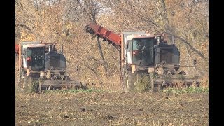 Виробництво приватної Агрофірми «Україна»