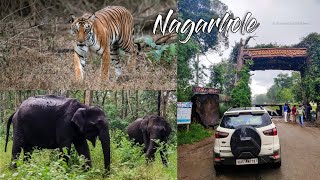 Nagarhole National Park | EcoSport Monsoon Drive In Forest