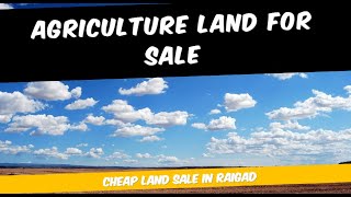 फार्महाऊस सहित कोकणी वाडी विकणे आहे II CHEAP LAND II LAND FOR SALE