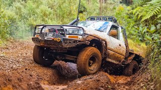 4WD Chopped 80 Series Dominates Again! Toolangi State Forest - Blowhard Track