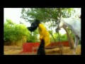 Satwinder Bugga - Hove Tutaan Wali Thandi Thandi.flv