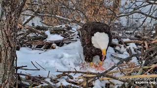 Decorah Eagles: 2024.12.20