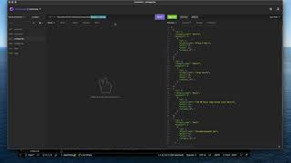 ECOM ORM walkthrough video