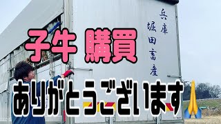 2023/02/07 岡山家畜市場 ご購入ありがとうございます🙏 次回 子牛 3頭出荷予定報告と 家畜商 紹介‼️乳牛の出荷  頑張った牛に感謝 大阪 兵庫 但馬牛 堀田畜産　堺市酪農組合