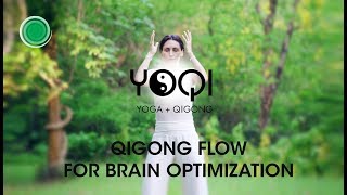 Qigong Flow For Brain Optimization