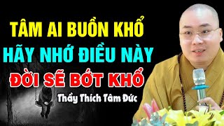 Ai Có Tâm Buồn Khổ Hãy Nhớ Điều Này Đời Sẽ Bớt Khổ Đau  - Thầy Thích Tâm Đức