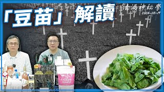 清酒神秘學 2024-03-19: 「豆苗」解讀  | 主持：台長、Laurence