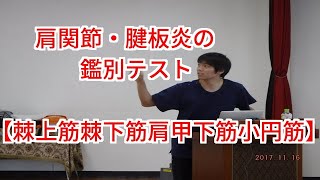 肩関節・腱板炎の鑑別テスト【棘上筋棘下筋肩甲下筋小円筋】