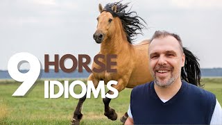 Idiioms 101 -  Horse Idioms