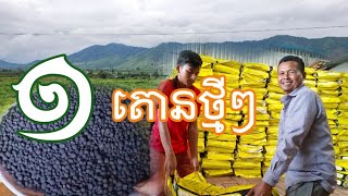 អាស៊ានផៅវ័រ|ASEAN POWER គាំទ្រមិនឈប់ទេ។